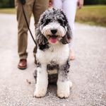Winnie - @winnie_walter_doodles - Instagram