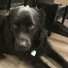 Winnieandwalter - @winnieandwalter - TikTok