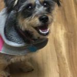 Winnie Harper Weaver - @winnieharperweaver - Instagram