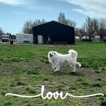Winnie Weaver - @winnie.weaver.12 - Instagram