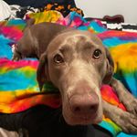 Winnie Weaver - @_winnie_weaver_ - Instagram