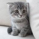 Winnie Yau - Facebook