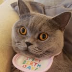 Winnie Yau - @winnie.yau.752 - Instagram