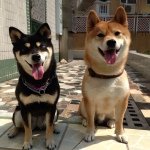 winnie_yau_yau - @winnie_yau_yau - Instagram