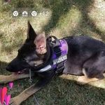 Winona Gray - @winonagray - Instagram