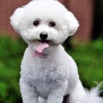 Winsome Brown - @winsome.brown.589 - Instagram