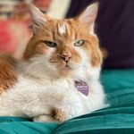 WinstonBabbitt - @winston_babbitt - Instagram