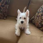 Winston Baker - @winstonbakerrr - Instagram