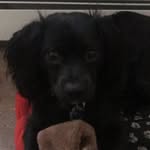 Winston Baker - @the_real_winstonbaker - Instagram