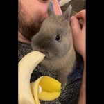 Winston Baker - @dwarf.king_winston - Instagram
