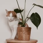 Winston Benjamin - @winston_benjamin_p - Instagram