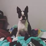 Winston Benjamin - @justcallmewinston - Instagram