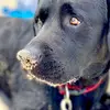 user8614550090808 - @winston_buddy - TikTok