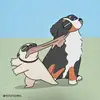 Winston & Buddy - @winston_and_buddy - TikTok
