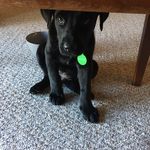 Winston Dudley Carr - @winstondudleycarr - Instagram