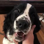 Winston - @winston_carter_ - Instagram