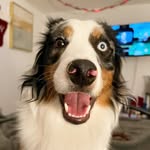 Winston Carter - @wini.the.mini - Instagram