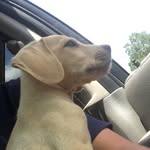 Winston Carter - @winstoncarter1305 - Instagram