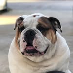 Winston Carter - @youngdoggywinston - Instagram