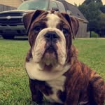 Winston Carter Richard - @winston_carter_richard - Instagram