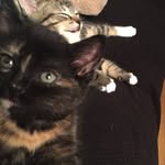 Winston And Clementine - @winston.clementine - Instagram