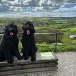 Winston and Clementine Dixon-Smart - @whereiswinston_sweetclementine - Instagram