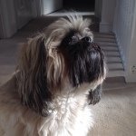 Kato Winston Cooke - @katowinstoncooke - Instagram