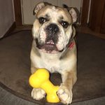 WinstonCooke - @winstoncooke1 - Instagram