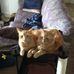 Winston &amp; Egon Cunningham - Facebook