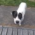 Winston Cunningham - Facebook
