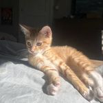Winston Cunningham - @winstovian - Instagram