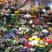 Winston Flowers - Facebook