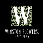 Winston Flowers - @winstonflowersf - Instagram