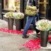 Winston Flowers Design Studio - Facebook