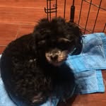 Winston fuller - @winniethepoo92 - Instagram
