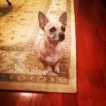 Winston Bachelder Gagne-Gibson - @mr_winston_4112 - Instagram