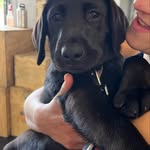 Winston Gibson - @sir.winstongibson - Instagram