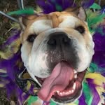 @winstonkippakgibson - Instagram