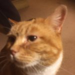 Winston Glover - @winston_glover234 - Instagram