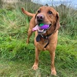Gregory Winston - @gregorywinston_foxredlab - Instagram