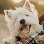 Sir Winston Gregory - @winnietheinwestiegator - Instagram