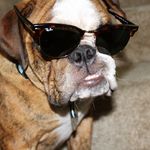 Sir Winston Gregory III - @winsta_on_insta_ - Instagram