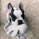 Winner - @winstongreymariani - Instagram