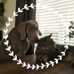 Winston & Rey - @winston__grey - Instagram