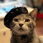 Winston Grey - @_winstongrey_ - Instagram