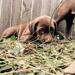 Winston Grey - @winston.myers - Instagram