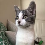winston grey - @winston.greyy - Instagram