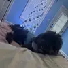 winston grey - @winst0ngrey - TikTok