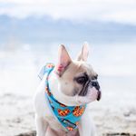 Winston Grey Montgomery - @winston__montgomery - Instagram