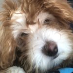 Winston - @guy_winston - Instagram